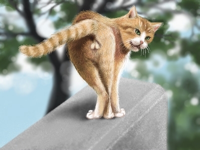 nekobana-453